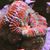 James Geyer's profile image