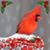 Rhonda Spence Davis's profile image