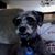 Trent Heiser's profile image