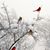 Patricia Boggus's profile image