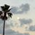 Terri Dirks's profile image