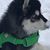 Sean Grunwald's profile image