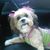 Brenda Quarles's profile image