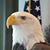 Robert Dilley's profile image