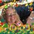 Linda Wengryn's profile image
