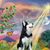 Fran Weinman's profile image