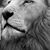 JR Rojas's profile image