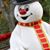 Fredia Wilson's profile image