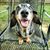 Trista Fann Pullaro's profile image