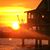 Donna Baldridge's profile image