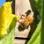 Julie Dannenmann's profile image