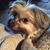 Jacque Francois's profile image