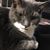Diane Vitols Rosolko's profile image