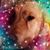 Jhan Vieth's profile image