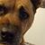 Emily Lin Butterfield Fairbanks's profile image