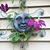 Judy Jones's profile image