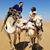 Christopher J. Rich's profile image