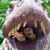 Suzanne Steinruck's profile image