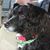 Karren Kules's profile image