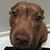 Keith Kofron's profile image