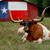 James D. Feverston Jr.'s profile image