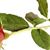 Vickie Cook's profile image