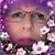 Linda Daniels Ferree's profile image