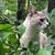 Katrina Marie Ardan's profile image