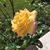 Elana Kingsbury's profile image