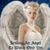 Judy Hamblen's profile image
