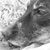 Katrina Swann Fox's profile image