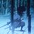Muhammad Ibrahim's profile image
