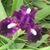 Patricia Sampson's profile image