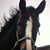 Kim Stanley Jones's profile image