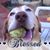 Kim Johnson Vineyard's profile image