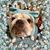 Kurstin Blue Hamilton's profile image