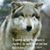 Nacoma Runingwolf's profile image