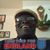 Lamar Haynes's profile image