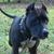 Dorinda Scott Wollitz's profile image