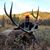 Brandon Baudhuin's profile image