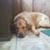 Alicia Ann Kulik's profile image