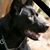 Craig Wolpert's profile image
