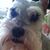 Patti Hyde's profile image