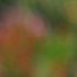 Jeff R.'s profile image