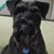 David Entsminger's profile image