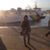 Noura Boumedjane's profile image