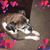 Jennifer J Rawls's profile image
