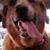 Jennifer Zanca Lindsey's profile image