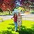 Lisa Rose's profile image
