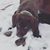 Brea Driesens Hagerman's profile image